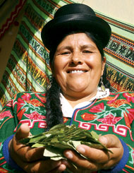 Campesina cocalera